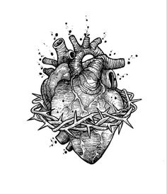 an ink drawing of a heart with a crown of thorns on it's side