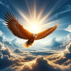 an eagle soaring above the clouds with the sun shining through it's wings in the sky