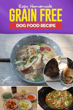 the cover of an easy homemade grain free dog food recipe with pictures of different foods in bowls