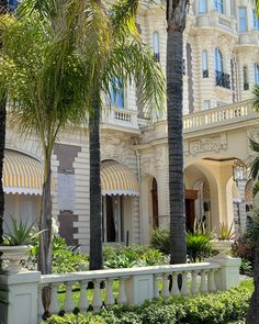 palm trees line the sidewalk in front of a large white building with ornate windows and balconies