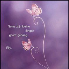 two pink butterflies flying next to each other on a purple background with the words,