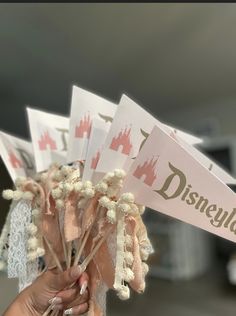 a person holding up some paper with disney world on it's sides and the words disneyland written on them