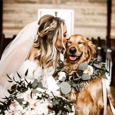 a bride kissing her dog on the cheek at their wedding ceremony in an old barn