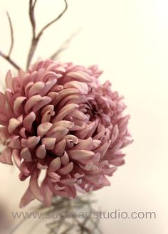 a pink flower is in a vase with some branches on the top and bottom half