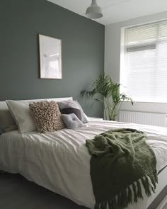 a bedroom with green walls, white bedding and a large plant in the corner