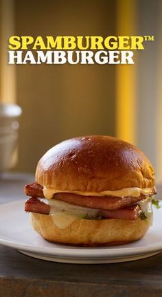 a ham and cheese sandwich sitting on top of a white plate