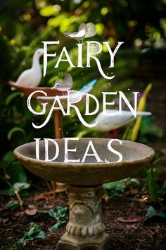 Fairy garden ideas with birds and greenery in the background.