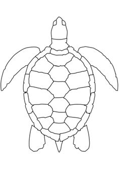 a drawing of a sea turtle