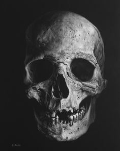 a black and white photo of a human skull