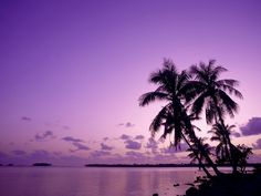 palm trees are silhouetted against a purple sky at sunset on an island in the ocean