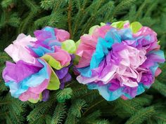 two pink and blue flowers sitting on top of a tree