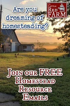 a farm with the words are you dreaming of homesteading? join our free real estate resources