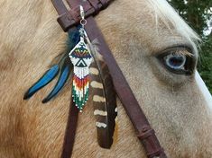 a close up of a horse with a feather on it's head and bridle