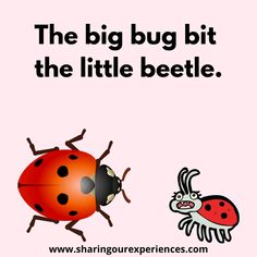 a ladybug and a bug with the words, the big bug bit the little beetle