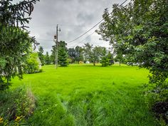 an empty grassy field surrounded by trees and power lines