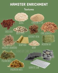 an image of different types of herbs and their uses in cooking food, including spices