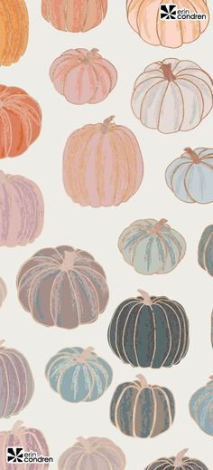 a bunch of different colored pumpkins sitting next to each other