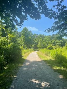 a dirt road surrounded by trees and grass