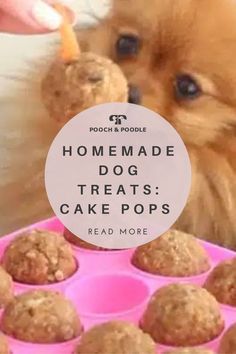 homemade dog treats cake pops for dogs Cake Pops For Dogs, Recipes Cake Pops