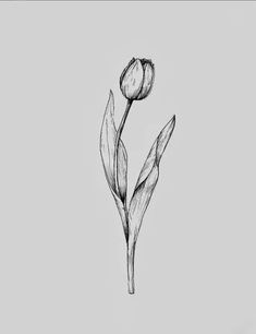 a black and white photo of a flower on a gray background with the words,'i