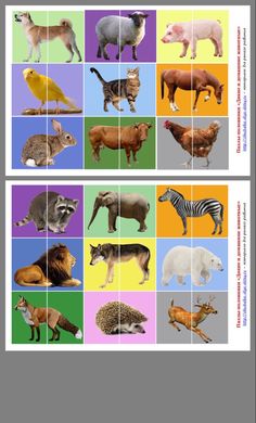 the different types of animals are shown in this puzzle game, which shows them all different colors