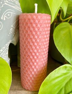 a pink candle sitting on top of a wooden table next to green leafy plants