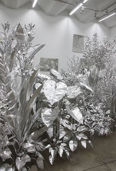 several silver plants in an art gallery