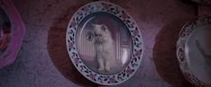 a white cat sitting in a mirror on the wall next to other plates and bowls