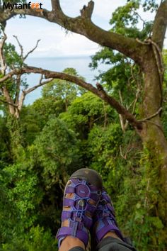 a person wearing purple sandals standing on top of a tree