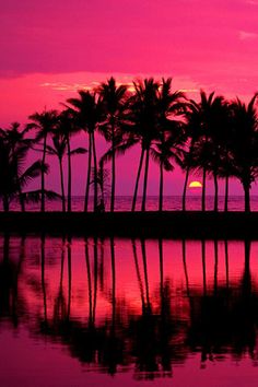 palm trees are reflected in the water as the sun sets over the ocean behind them