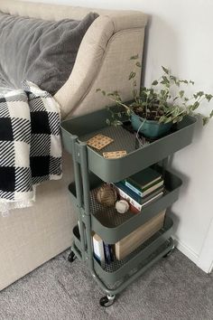 a living room with a couch and book shelf next to a plant on the floor