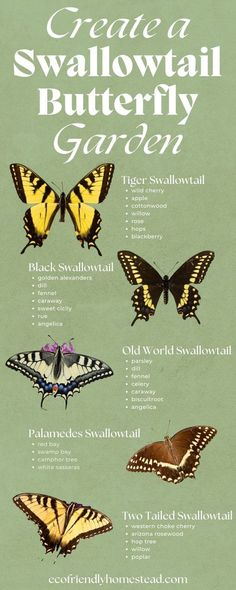 an image of butterflies that are in different colors and sizes, with the words create a swallow butterfly garden on it