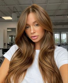 Caramel Brown Hair, Honey Brown Hair, Hair Color Caramel, Ginger Hair Color, Hair Color Auburn