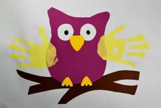 an owl is sitting on a branch with yellow hands