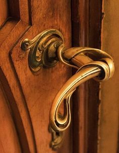 an ornate door handle on a wooden door