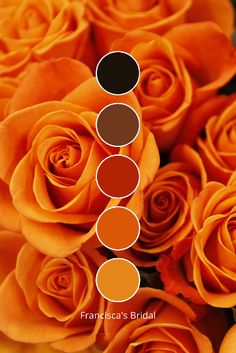 orange roses are arranged in the shape of a flower with different shades to choose from