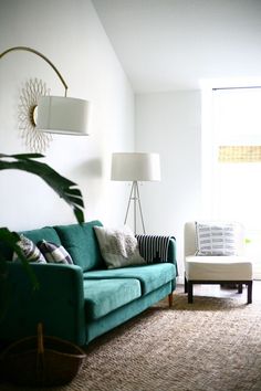 a living room filled with furniture and a large plant in front of the couches