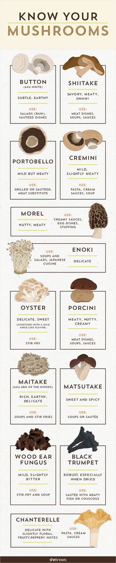 an info sheet showing the different types of mushrooms and how they are used to cook them