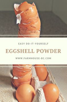 eggshells in an egg carton with the words easy do - it - yourself guide