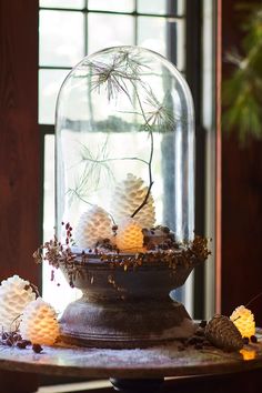 a glass dome filled with lots of white balls sitting on top of a wooden table