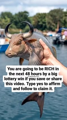 a person holding a fish in their hand with the caption you are going to be rich in the next 48 hours by a big lottery win if you save or share this video type yes to affirm and follow to claim it