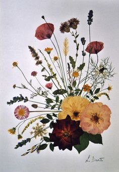 an arrangement of flowers is shown on a white background