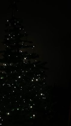 a lit up christmas tree in the dark