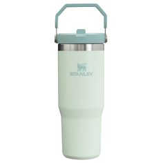 the stanley stainless steel insulated tumbler in mint green