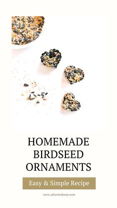 homemade bird seed ornament recipe on a white background