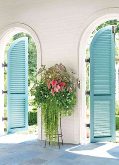 a potted plant sitting on top of a metal stand next to blue shutters