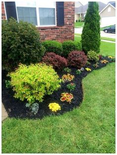 landscaping in front of a house with shrubs and flowers