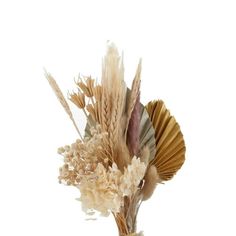 dried flowers in a vase on a white background