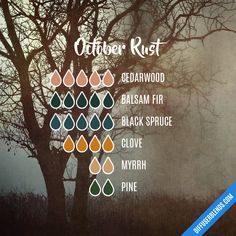 October Rust, Candle Blends, Eo Blends, Black Spruce, Simmer Pot