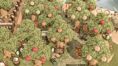 an aerial view of some trees with apples on them